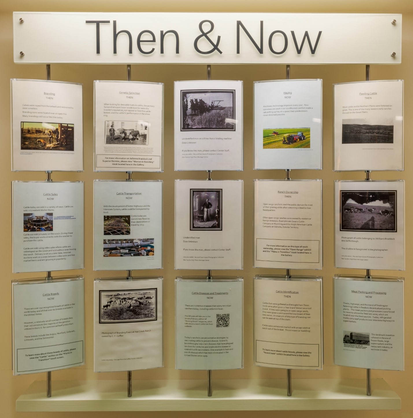 Then & Now exhibit